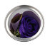 Роза фиолетовая в банке с подсветкой