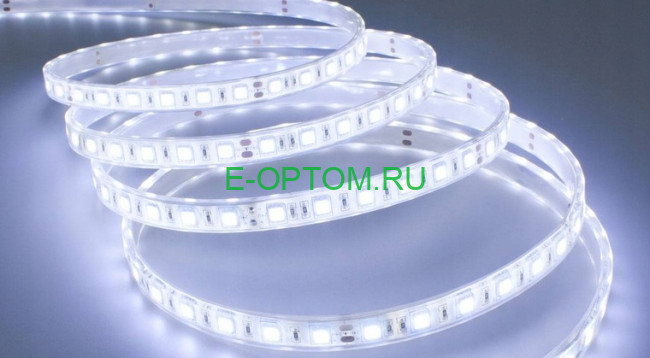 Диодная лента 10 м (6500K)