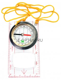 Компас с линейкой