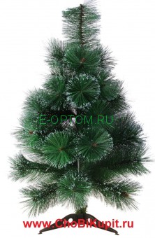 Кедровая елка сияющая Кедровая елка сияющая