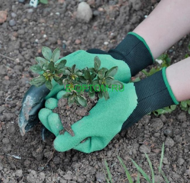 перчатки садовые с когтями