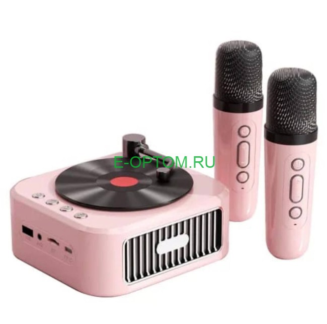 Портативная музыкальная колонка с караоке