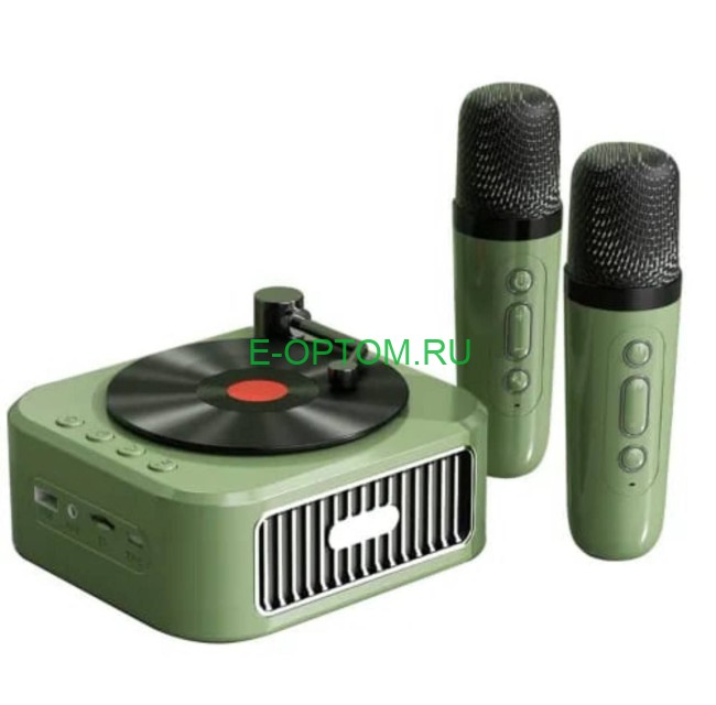 Портативная музыкальная колонка с караоке