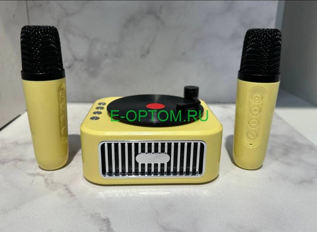 Портативная музыкальная колонка с караоке